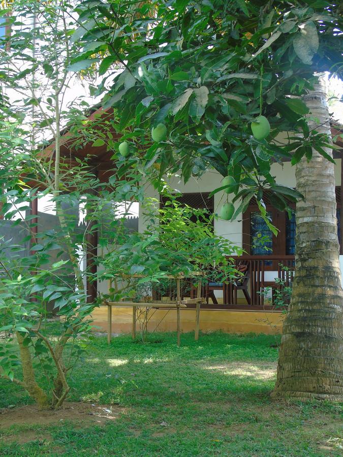 فندق ماتارافي  Secret Bay المظهر الخارجي الصورة